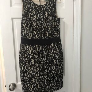 Gorgeous Ralph Lauren Lace Cocktail Dress